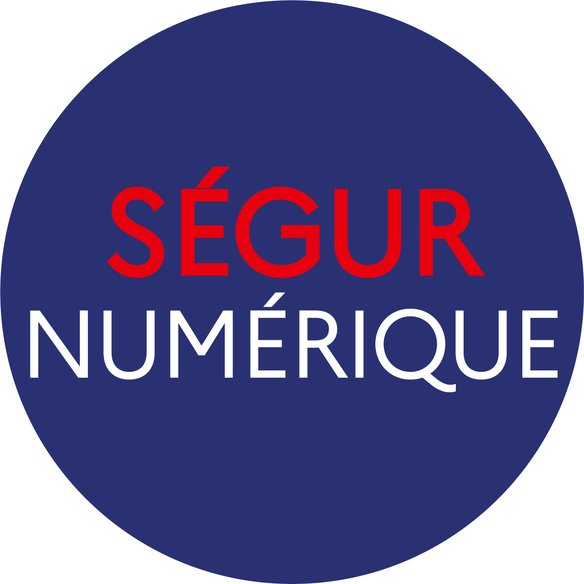 Logo Ségur numérique