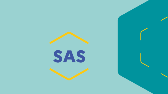 Visuel SAS Doctrine du numérique