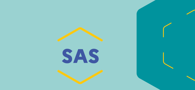 Visuel SAS Doctrine du numérique